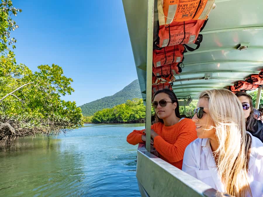 Port Douglas: Daintree National Park Tour, Cruise, & Zipline - Alexandra Lookout and the big North Queensland view