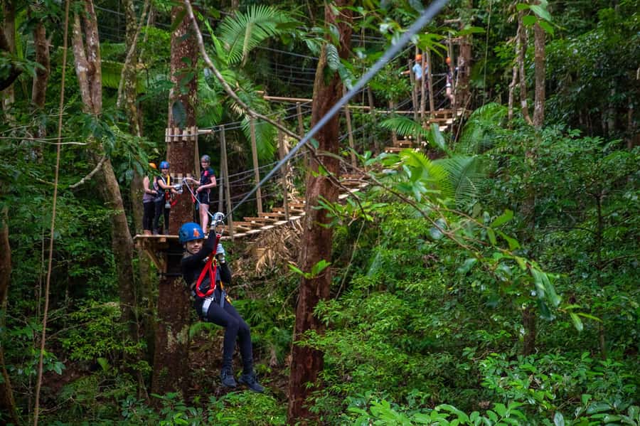 Port Douglas: Daintree Rainforest Canopy Ziplining Tour - Starting on the 200-metre gravel walk