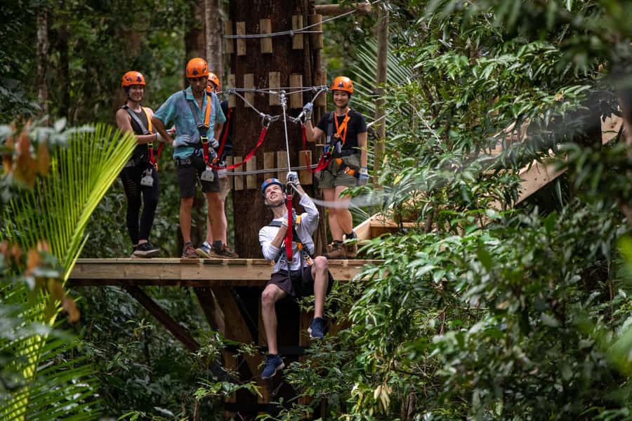 Port Douglas: Daintree Rainforest Canopy Ziplining Tour - What the zipline course feels like