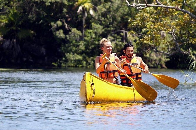 Private Coba & Jungle Adventure: Zipline, Rappel & Cenote - Rappelling into the cenote