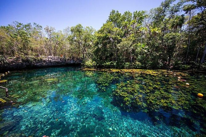 Private Coba & Jungle Adventure: Zipline, Rappel & Cenote - Guides, group size, and the private advantage