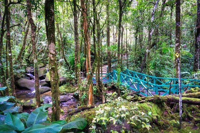 Private Desa Dairy Farm, Kinabalu National Park, Hot Spring & Canopy Walk Tour - Kinabalu Park headquarters and rainforest trails