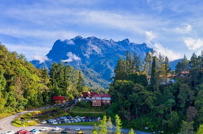 Private Desa Dairy Farm, Kinabalu National Park, Hot Spring & Canopy Walk Tour - A guide can make or break the long drive