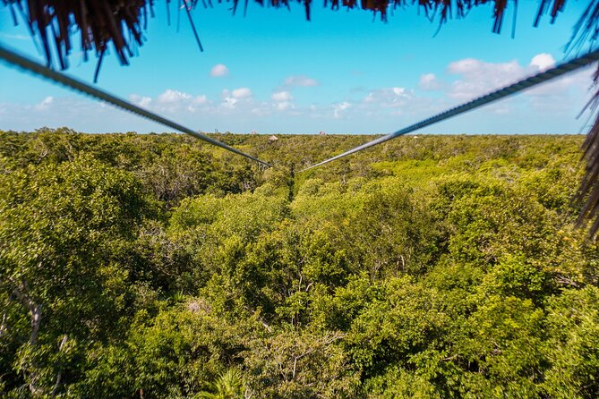 Private Jungle Adventure tour: Zipline + Rappel + Cenote - Swimming and snorkeling underground