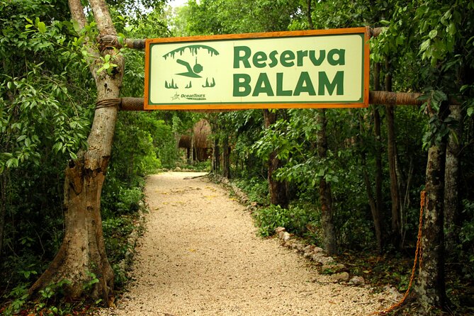 Private Jungle Adventure tour: Zipline + Rappel + Cenote - Is $295 per person a fair price?