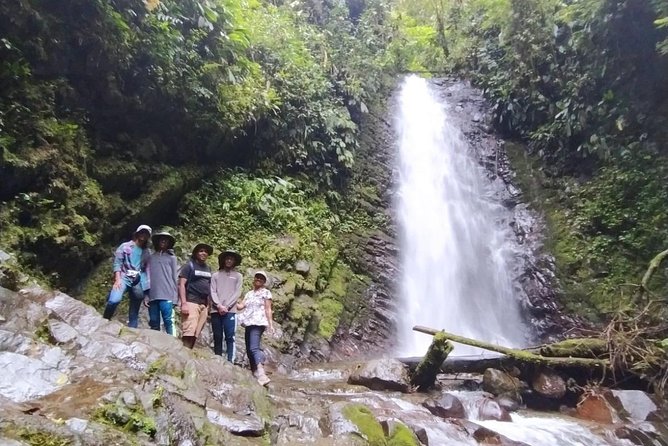 PRIVATE Mindo Cloud Forest tour - Mindo town, chocolate, and the activities you choose