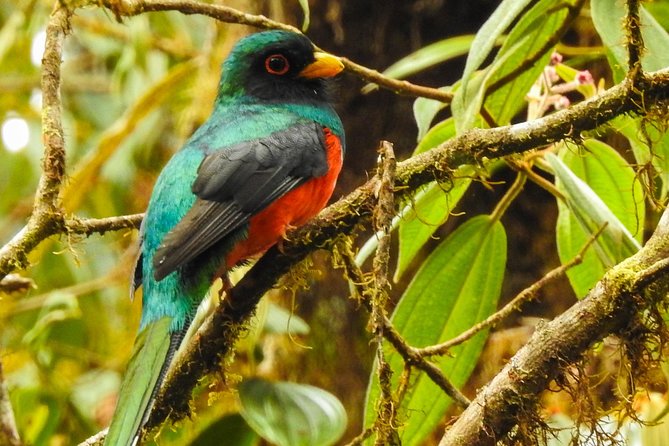 PRIVATE Mindo Cloud Forest tour - What the $130 price really covers