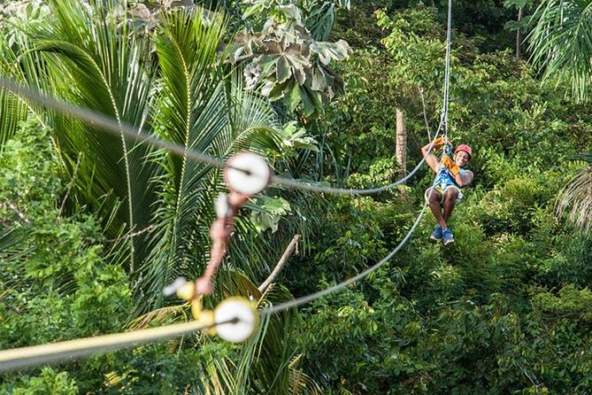 PRIVATE Mindo Cloud Forest tour - Mindo Nambillo Reserve: cable cars, forest paths, and waterfalls