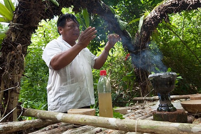 Private Tour Punta Laguna Monkey Sanctuary Zip Line - An early start from Playa del Carmen