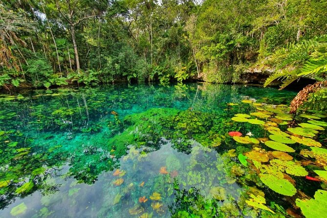 Private Tour Tankah 3 Zip Lines 3 Cenotes Canoe Snorkel Community - Three zip lines for a quick burst of adventure