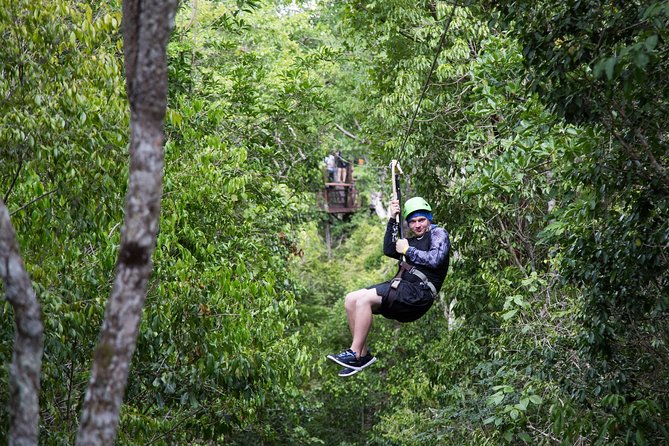 Private Tour with 3 Cenotes + 5 Zip-lines + Mayan Lunch - Five zip-lines through the gum trees