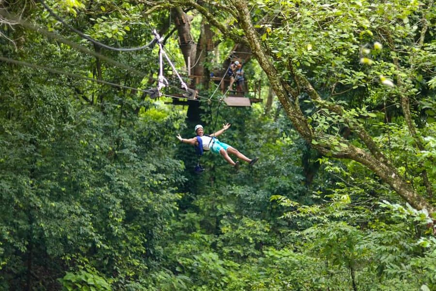 Puerto Plata/Amber Cove: Zipline and Waterfalls with Lunch - The 30-Minute Walk Through the Rainforest