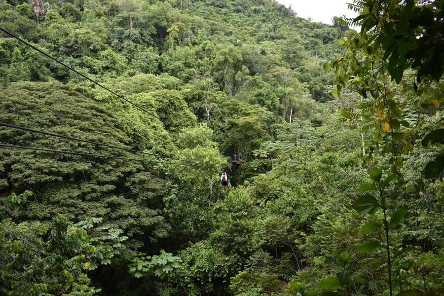 Puerto Plata/Amber Cove: Zipline and Waterfalls with Lunch - Getting From the Cruise Port to the Jungle