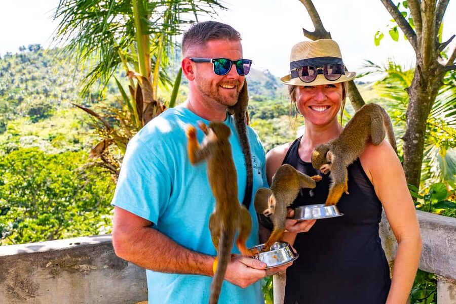 Puerto Plata: Monkeyland and Zip-Line Adventure - One morning, two very different adventures