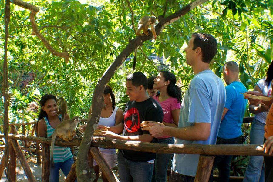 Puerto Plata: Monkeyland and Zip-Line Adventure - Is $90 a fair price?