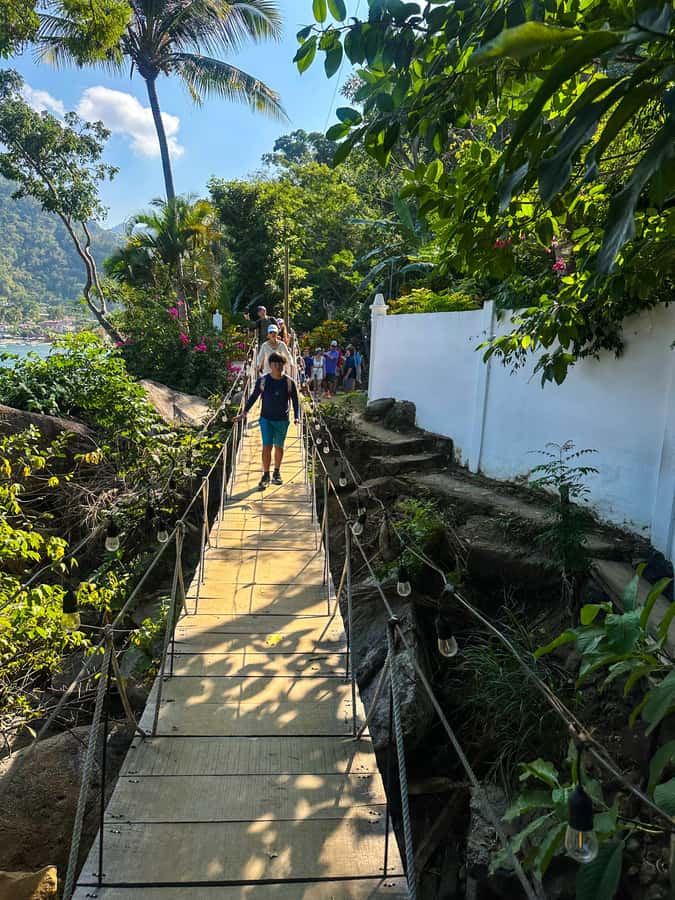 Puerto Vallarta: Hiking Trail, 6 Hidden Beaches & Zipline. - Key points at a glance