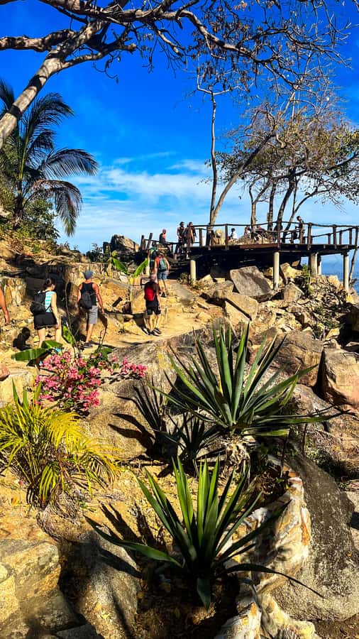 Puerto Vallarta: Hiking Trail, 6 Hidden Beaches & Zipline. - Who gets the best value for $35