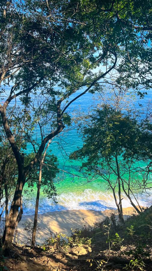 Puerto Vallarta: Hiking Trail, 6 Hidden Beaches & Zipline. - Lunch and ocean time at Las Ánimas