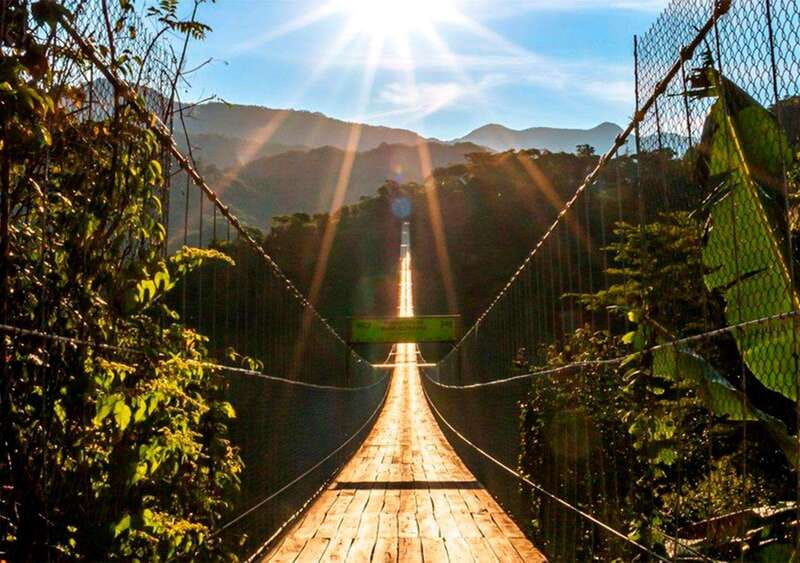 Puerto Vallarta: ZipLine + Jorullo Bridge Pass + Mule Ride - A 15-minute mule ride on natural paths