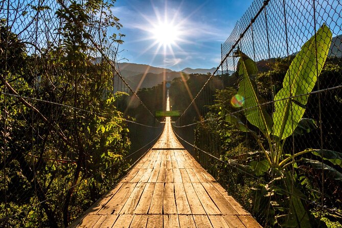 Puerto Vallarta Zipline, Mule ride and Jorullo Bridge Walking - Who will enjoy this tour most