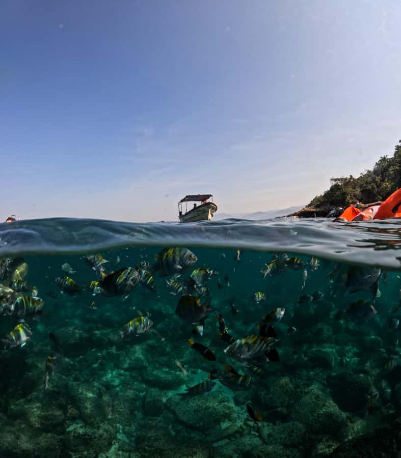 Puerto Vallarta: Zipline Tour, Snorkel & Secret Beach Escape - The quick take