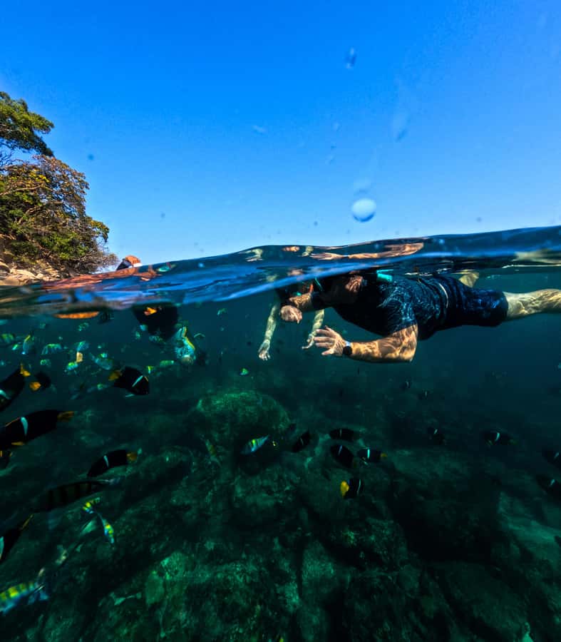 Puerto Vallarta: Zipline Tour, Snorkel & Secret Beach Escape - Eighty minutes of ropes, ziplines, and jungle obstacles