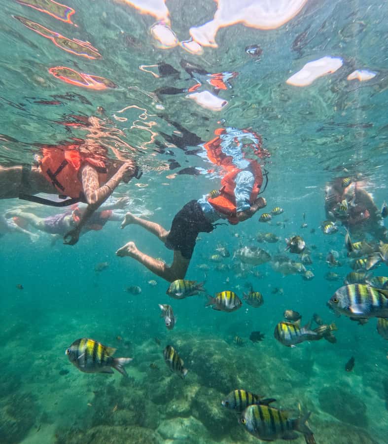 Puerto Vallarta: Zipline Tour, Snorkel & Secret Beach Escape - What the $54 price really covers