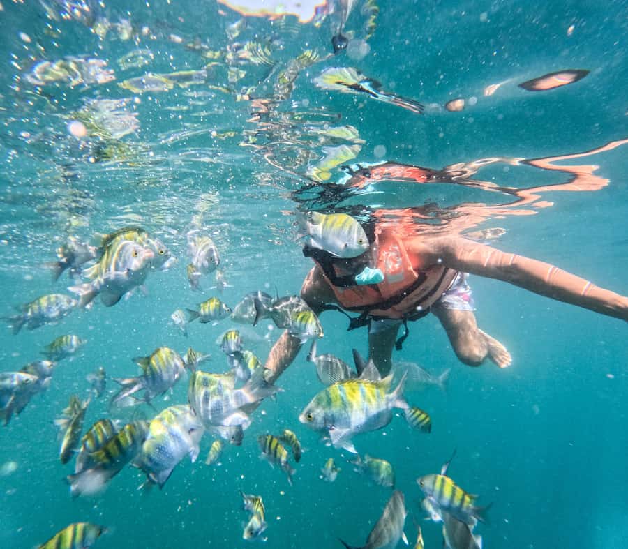 Puerto Vallarta: Zipline Tour, Snorkel & Secret Beach Escape - Timing, comfort, and what to pack