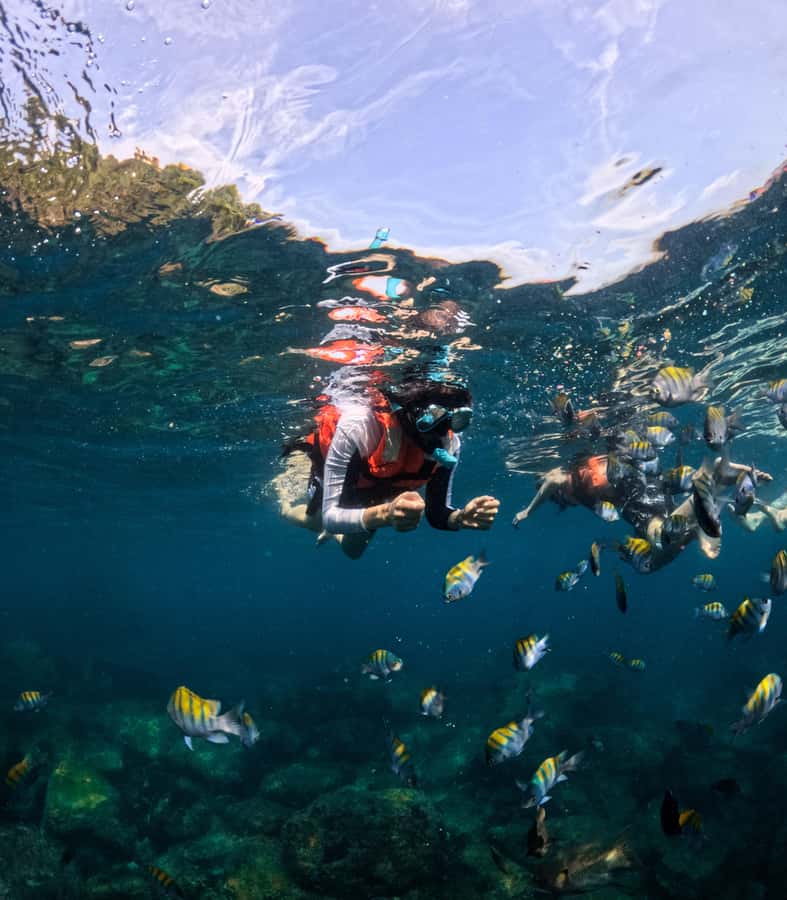 Puerto Vallarta: Zipline Tour, Snorkel & Secret Beach Escape - FAQ