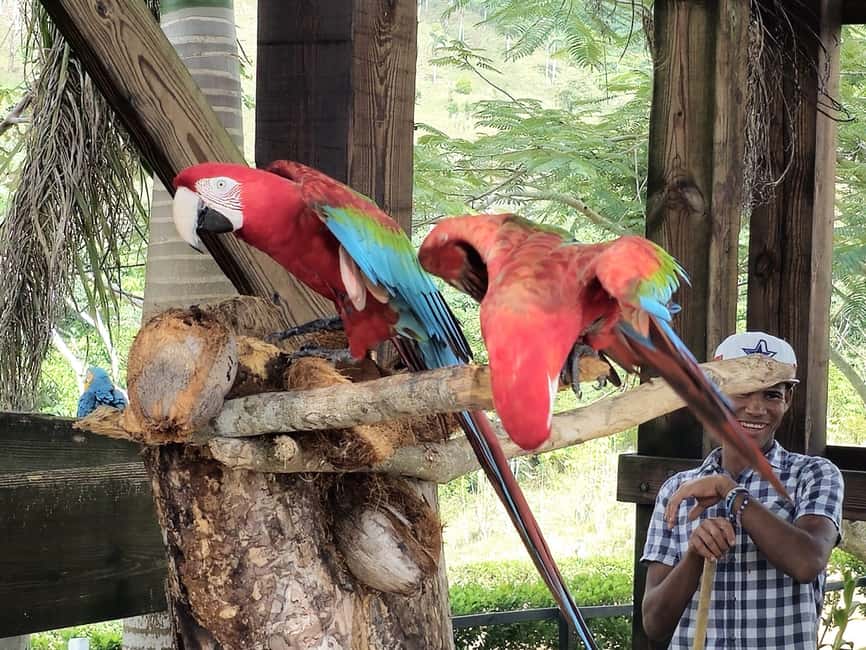 Punta Cana: Buggy and Zipline Adventure at La Hacienda - Starting with the big thrills