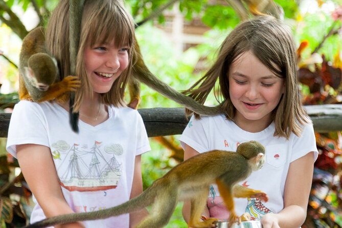 Punta Cana Monkeyland and Zipline Two Adventures in One Day - One day, two very different adventures