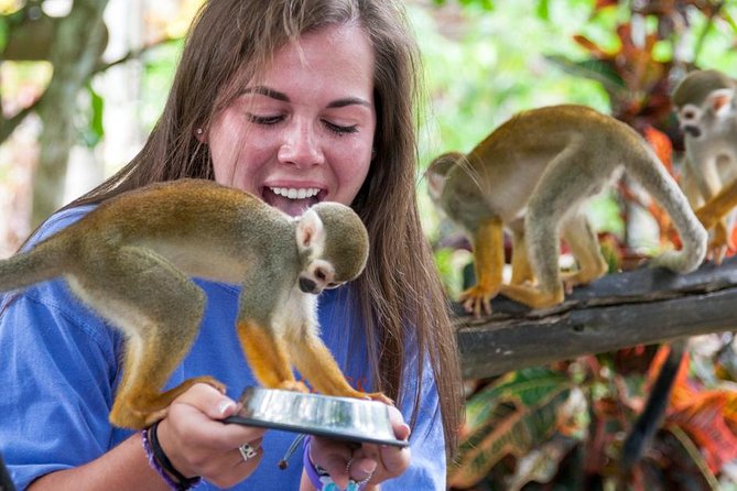 Punta Cana Monkeyland and Zipline Two Adventures in One Day - Is $115 a fair price?