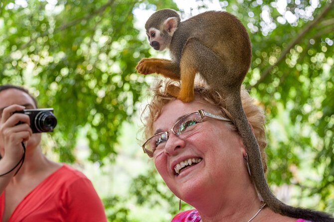 Punta Cana Monkeyland and Zipline Two Adventures in One Day - Getting there by safari truck or coach