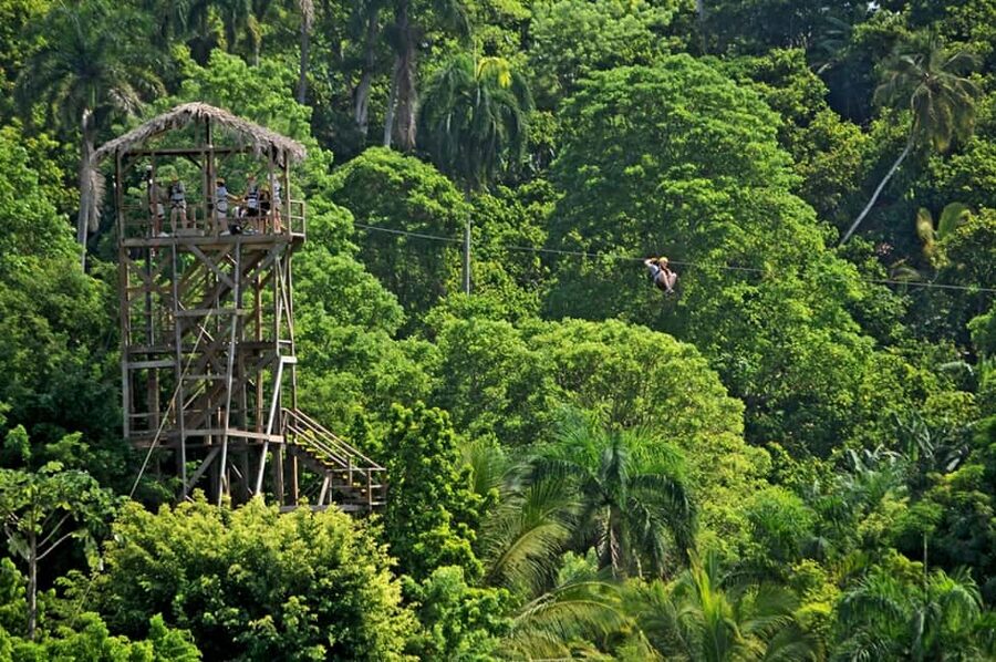 Punta Cana: Zip-Lining 12 Cables - A staff-led experience, not a self-guided ride