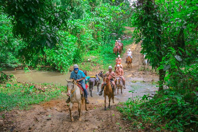Punta Cana Zipline Adventure with Buggies and Horseback Riding - Starting high on the jungle zipline course