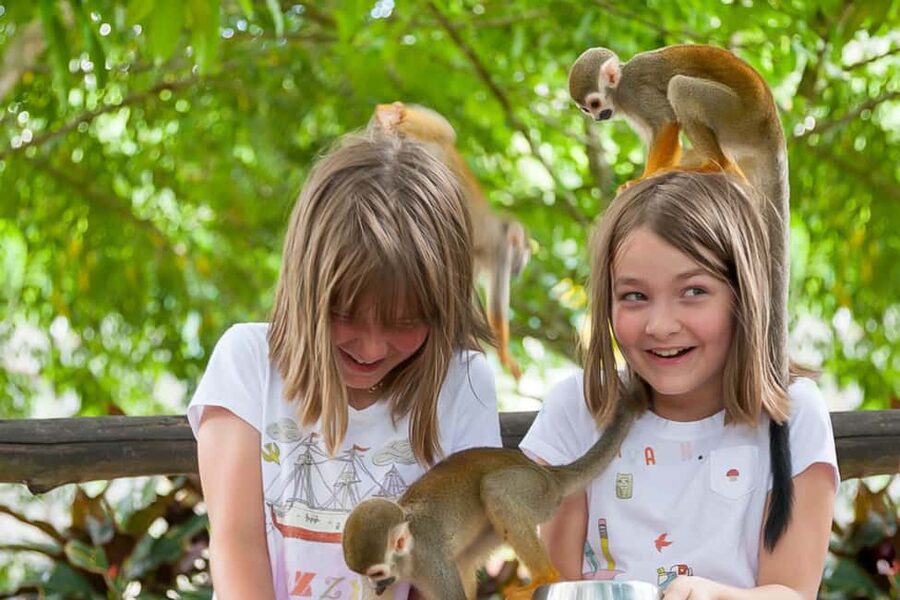 Punta Cana: Ziplines Adventures & Monkeyland Entry - Key points to know before booking