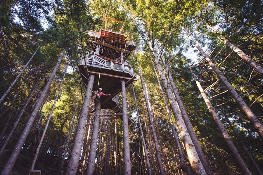Queenstown: 1-Hour Zipline Tour with 2-Lines & 21-Meter Drop - Walking back through the Tiki Trail