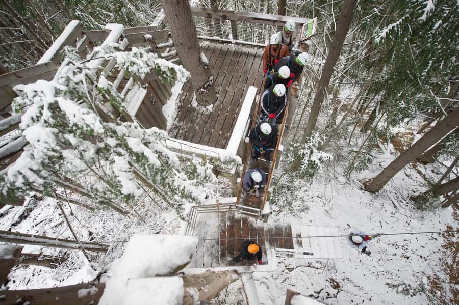 Queenstown: 2-Hour Zipline Tour with 4-Lines - The treehouse stops are part of the experience