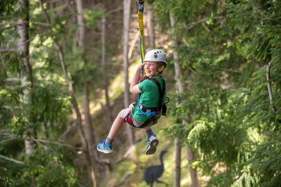 Queenstown: 2-Hour Zipline Tour with 4-Lines - Who will get the most from this tour