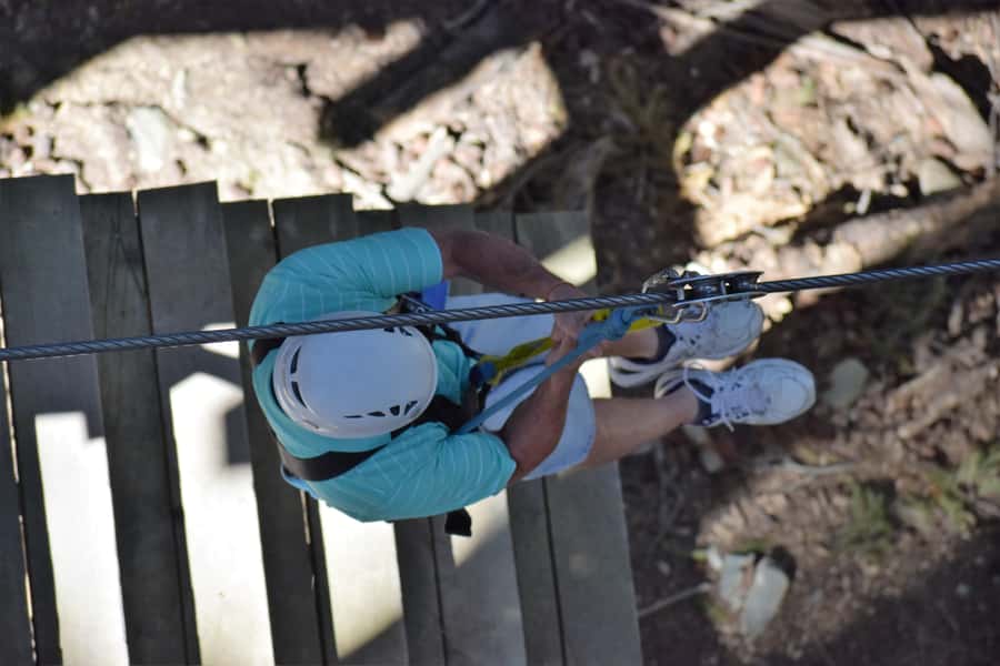 Queenstown: 2-Hour Zipline Tour with 4-Lines - Should you book the four-line Queenstown zipline?