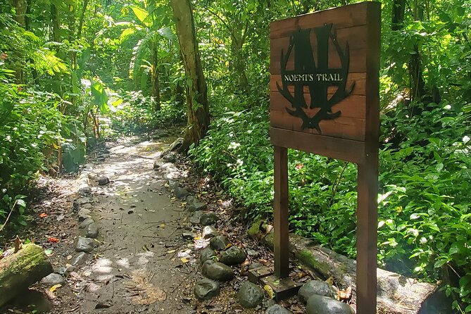 Rainforest and Junglequi Zipline Combo Tour - Luquillo kiosks and beach time