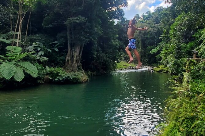 Rainforest and Junglequi Zipline Combo Tour - Practical details that can shape your day