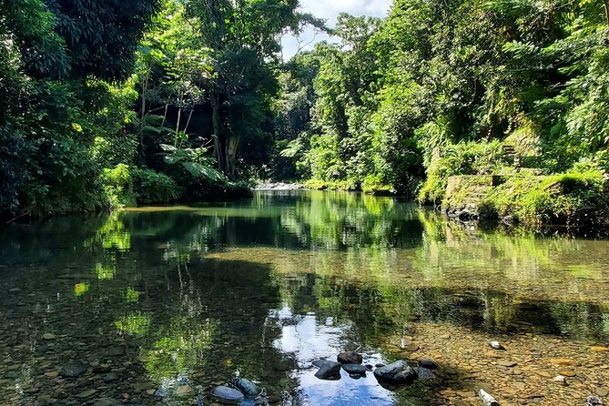 Rainforest and Junglequi Zipline Combo Tour - Nine ziplines above the rainforest