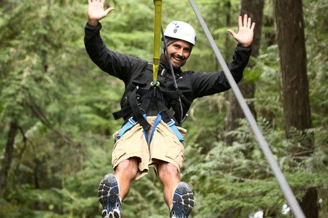 Rainforest Canopy Adventure from Vieux Fort or North Island, St Lucia - Key points to know before booking
