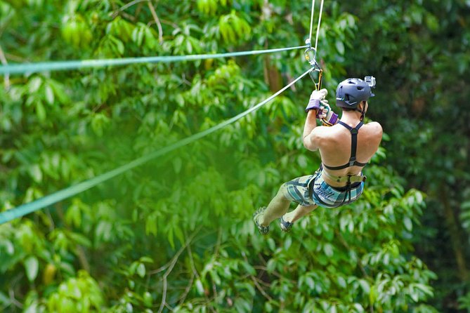 Rainforest Canopy Adventure from Vieux Fort or North Island, St Lucia - Guides can make or break the four-hour outing