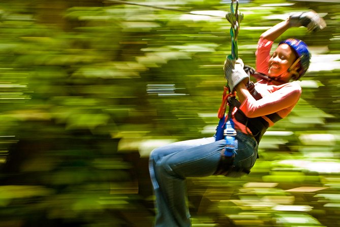 Rainforest Canopy Adventure from Vieux Fort or North Island, St Lucia - What the 500 feet of cable really feels like