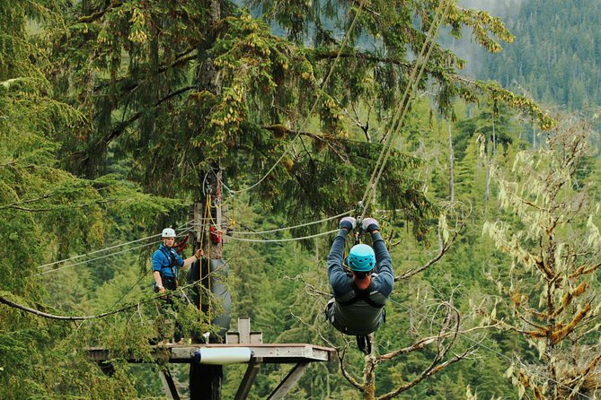 Rainforest Canopy & Zipline Adventure in Ketchikan, AK - Flying above Ketchikan’s Tongass forest