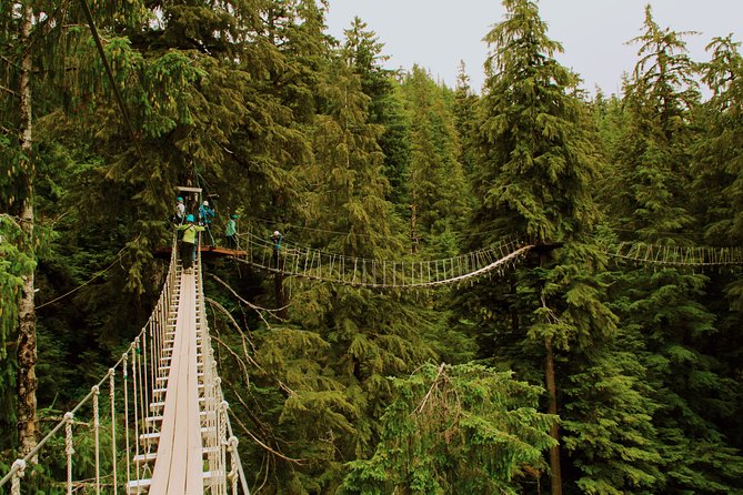 Rainforest Canopy & Zipline Adventure in Ketchikan, AK - Is $230.63 a fair price?