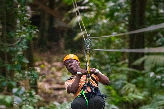 Rainforest Rush: St. Lucia Zip Line Adventure - Flying through the Castries Waterworks forest