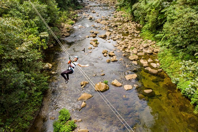 Rainforest Zip-Line Adventure – Braulio Carrillo, Costa Rica - Why the 700-meter finale makes this tour memorable